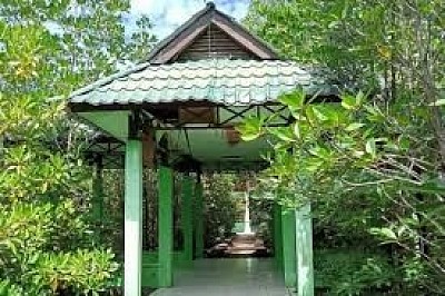 Hutan Mangrove Sondaken