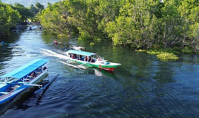 Pantai Hutan Bakau Rap-Rap